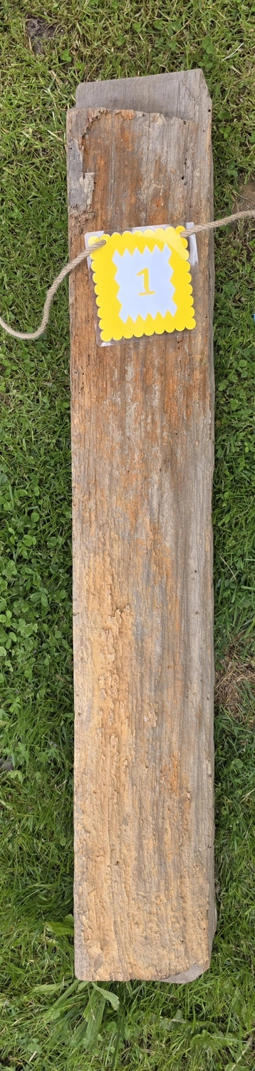 GedankenGuss - Holzskulpturen und abstrakten Kunstwerken - Eine kleine, gelb-weiße Zierfahne mit der Nummer hängt an einem dicken Seil über einem verwitterten Holzbrett, das auf einem Stück grünem Gras liegt.