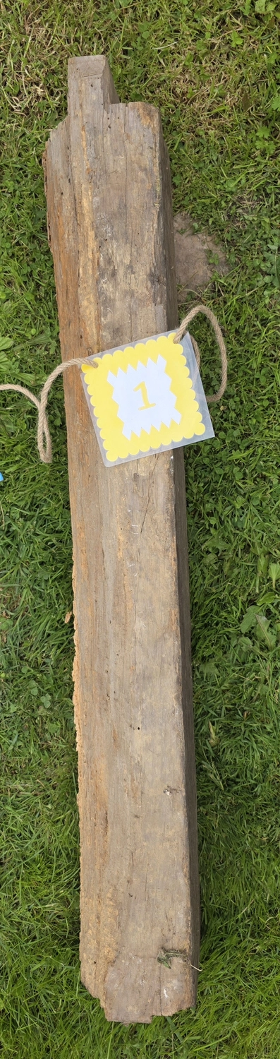 GedankenGuss - Holzskulpturen und abstrakten Kunstwerken - Eine kleine, gelb-weiße Zierfahne mit der Nummer hängt an einem dicken Seil über einem verwitterten Holzbrett, das auf einem Stück grünem Gras liegt.