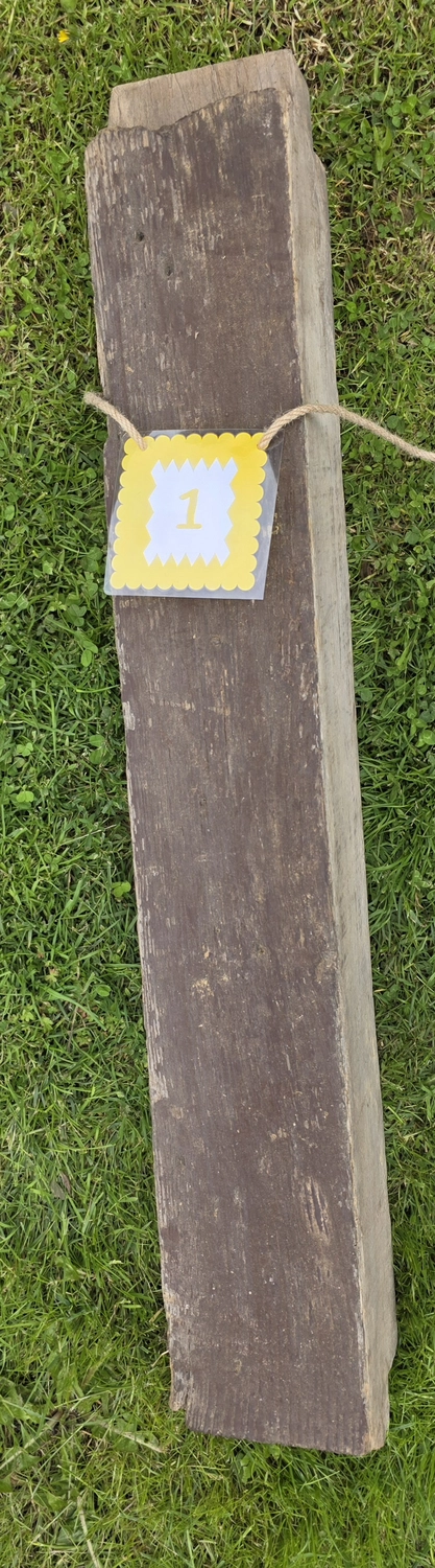 GedankenGuss - Holzskulpturen und abstrakten Kunstwerken - Eine kleine, gelb-weiße Zierfahne mit der Nummer hängt an einem dicken Seil über einem verwitterten Holzbrett, das auf einem Stück grünem Gras liegt.