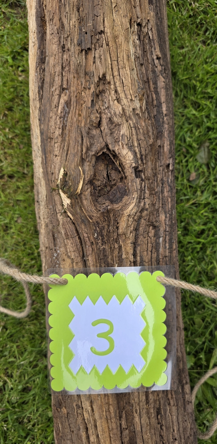 GedankenGuss - Holzskulpturen und abstrakten Kunstwerken -Eine kleine, hellgrüne und weiße Zierfahne mit einer Zahl hängt an einem dicken Seil über einem verwitterten Holzbrett, das auf einem Stück grünem Gras liegt.