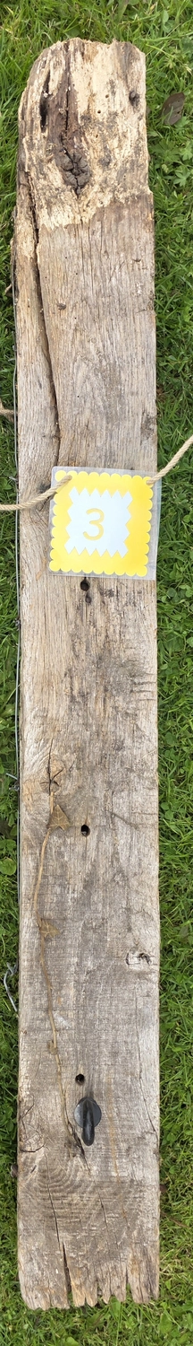 GedankenGuss - Holzskulpturen und abstrakten Kunstwerken - Eine kleine, gelb-weiße Zierfahne mit der Nummer hängt an einem dicken Seil über einem verwitterten Holzbrett, das auf einem Stück grünem Gras liegt.