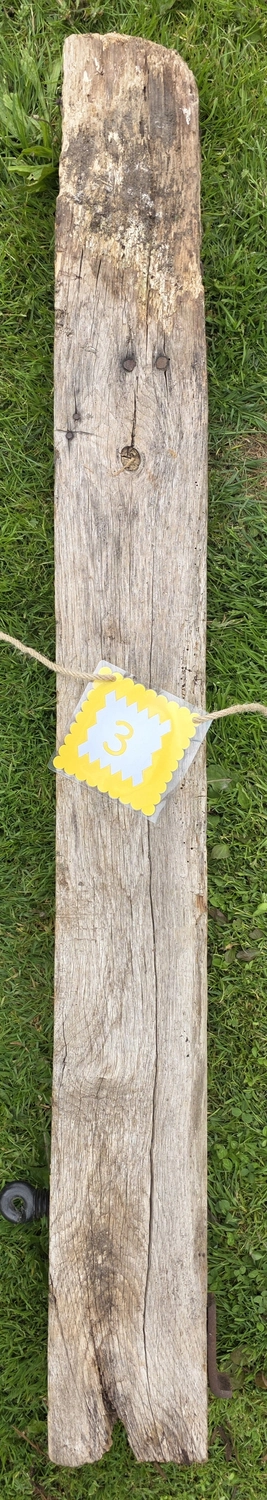 GedankenGuss - Holzskulpturen und abstrakten Kunstwerken - Eine kleine, gelb-weiße Zierfahne mit der Nummer hängt an einem dicken Seil über einem verwitterten Holzbrett, das auf einem Stück grünem Gras liegt.