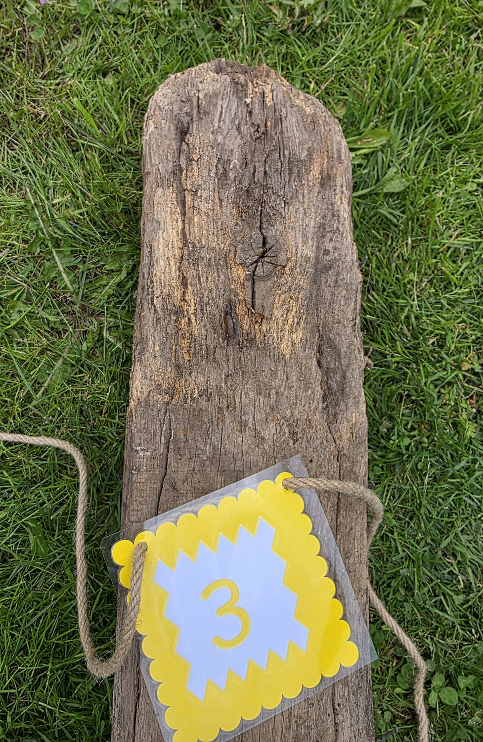 GedankenGuss - Holzskulpturen und abstrakten Kunstwerken - Eine kleine, gelb-weiße Zierfahne mit der Nummer hängt an einem dicken Seil über einem verwitterten Holzbrett, das auf einem Stück grünem Gras liegt.