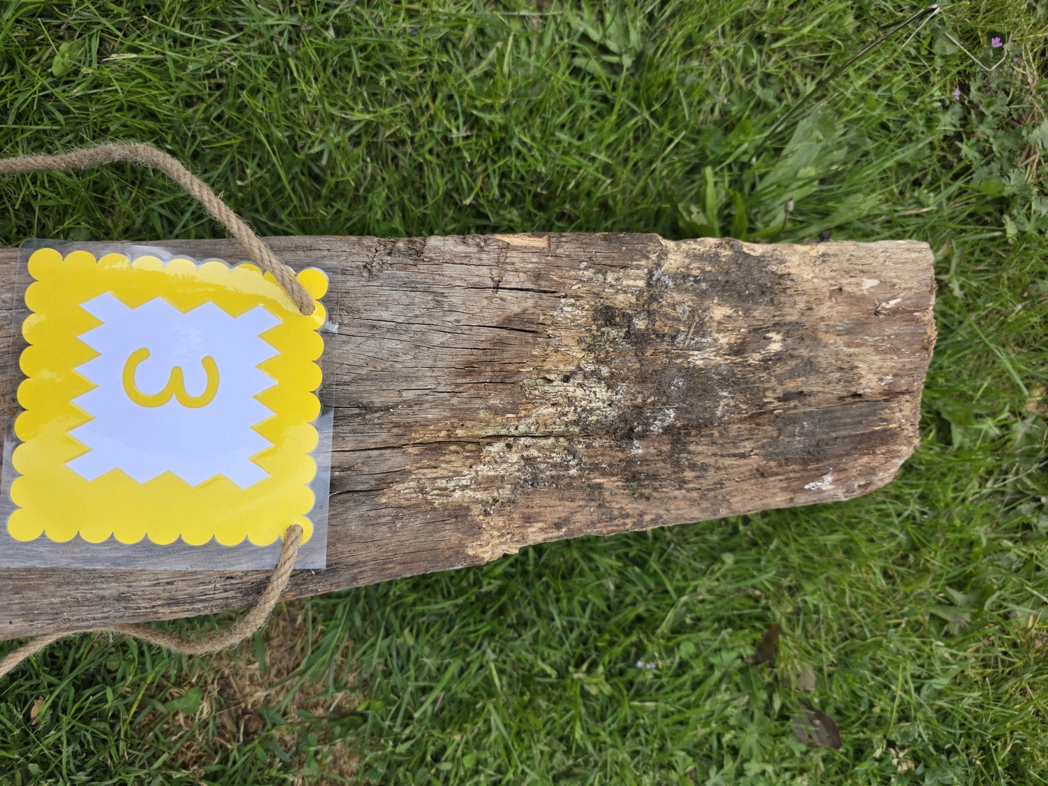 GedankenGuss - Holzskulpturen und abstrakten Kunstwerken - Eine kleine, gelb-weiße Zierfahne mit der Nummer hängt an einem dicken Seil über einem verwitterten Holzbrett, das auf einem Stück grünem Gras liegt.
