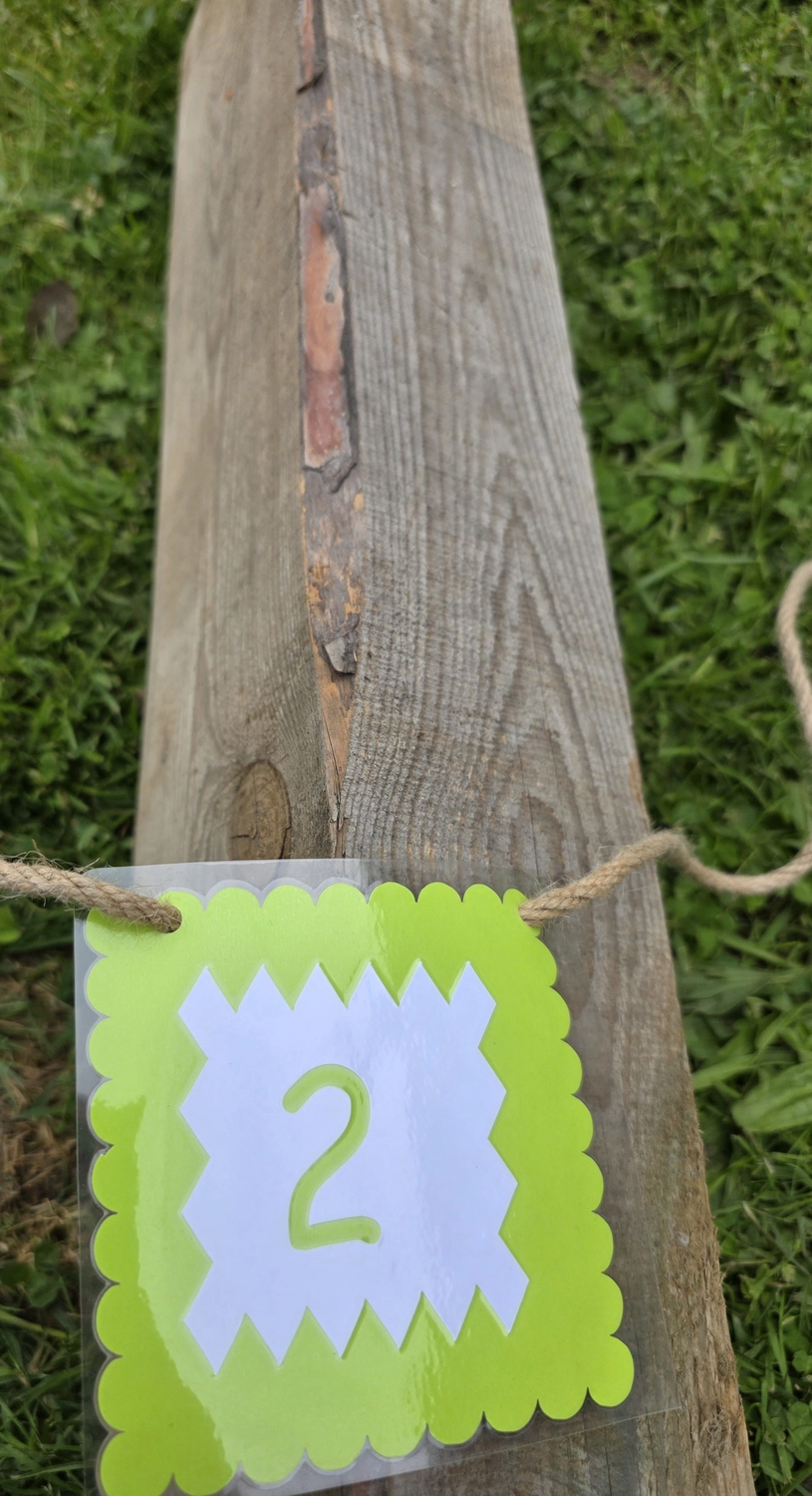 GedankenGuss - Holzskulpturen und abstrakten Kunstwerken -Eine kleine, hellgrüne und weiße Zierfahne mit einer Zahl hängt an einem dicken Seil über einem verwitterten Holzbrett, das auf einem Stück grünem Gras liegt.