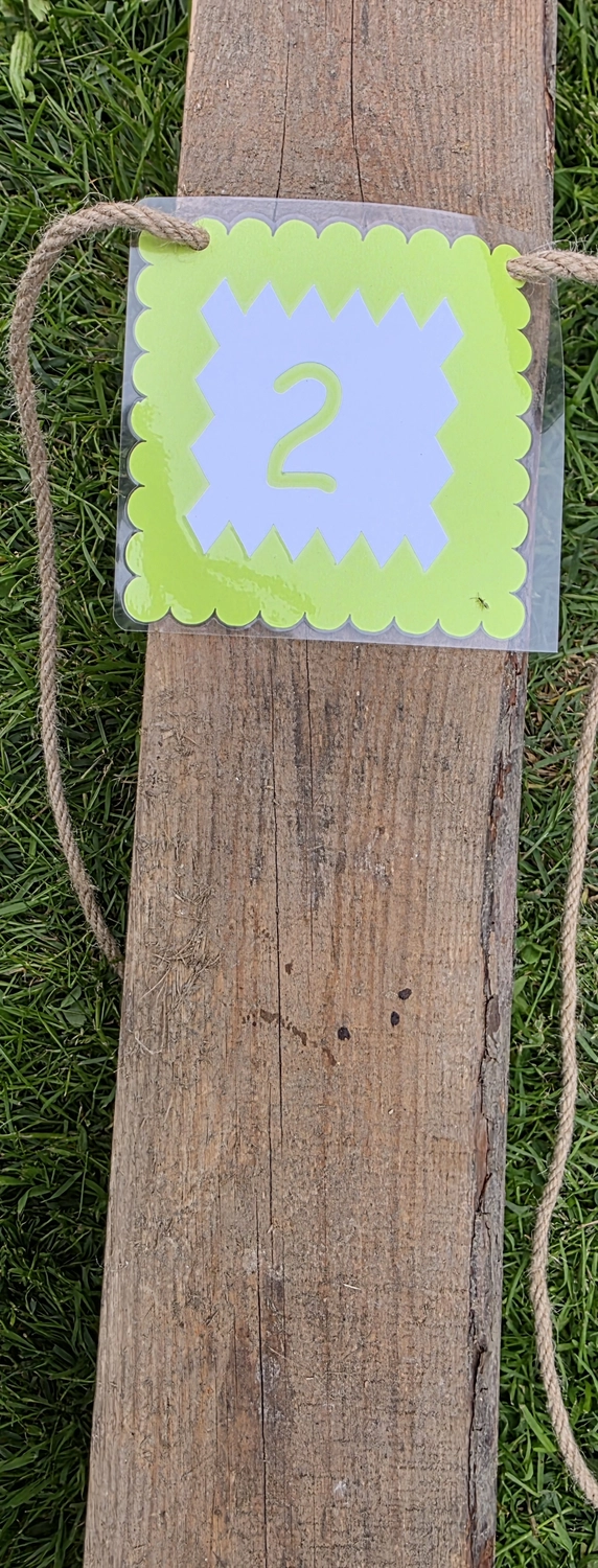 GedankenGuss - Holzskulpturen und abstrakten Kunstwerken -Eine kleine, hellgrüne und weiße Zierfahne mit einer Zahl hängt an einem dicken Seil über einem verwitterten Holzbrett, das auf einem Stück grünem Gras liegt.