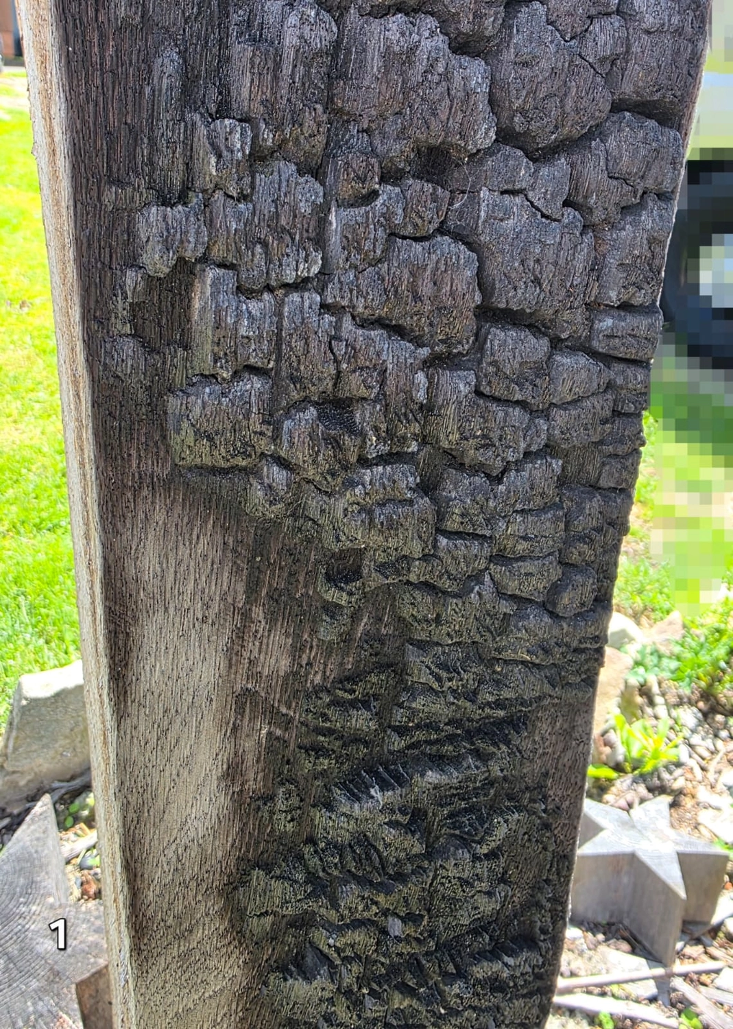 GedankenGuss - Holzskulpturen und abstrakten Kunstwerken - Holzskulptur
