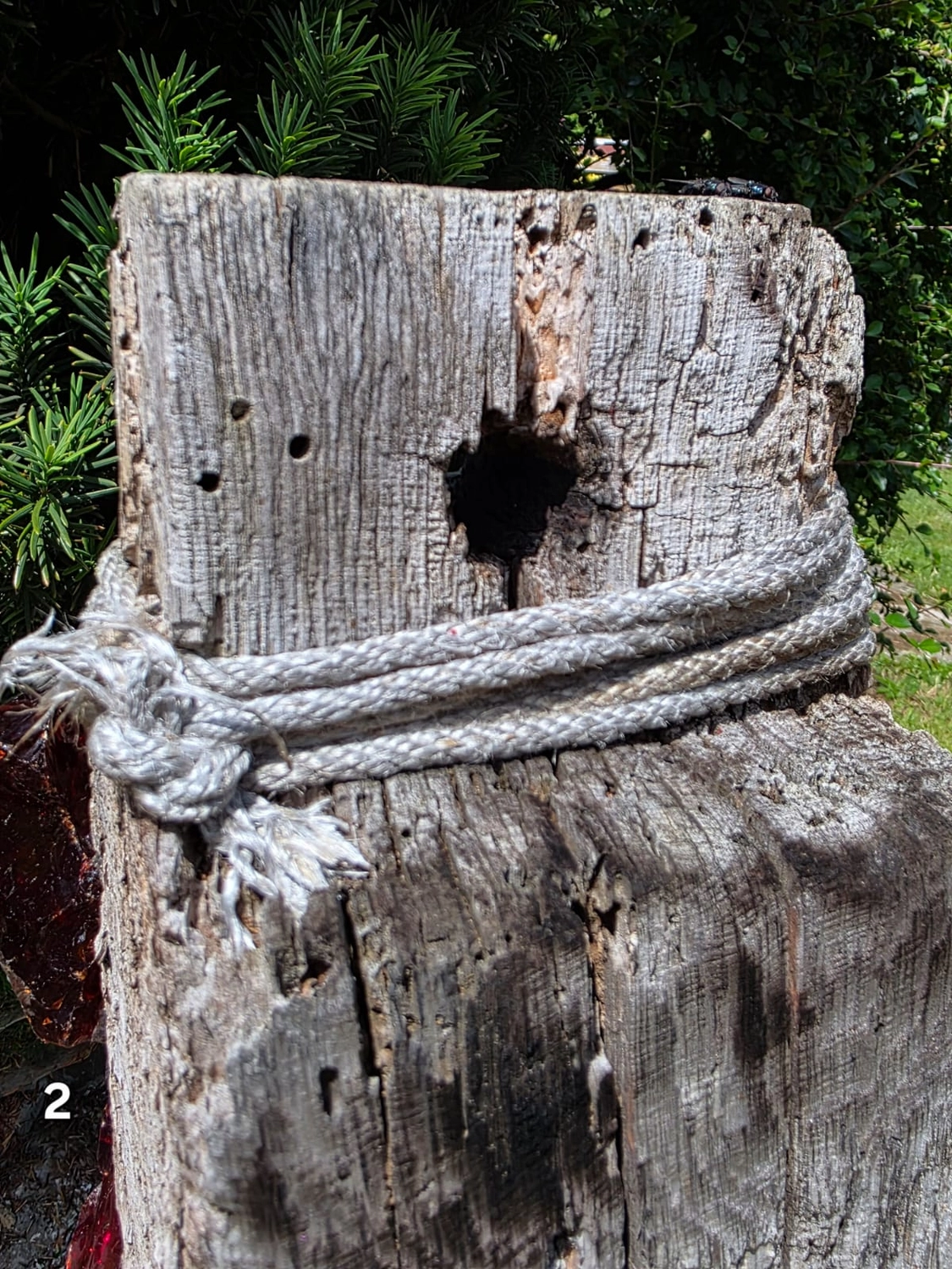 GedankenGuss - Holzskulpturen und abstrakten Kunstwerken - Holzskulptur