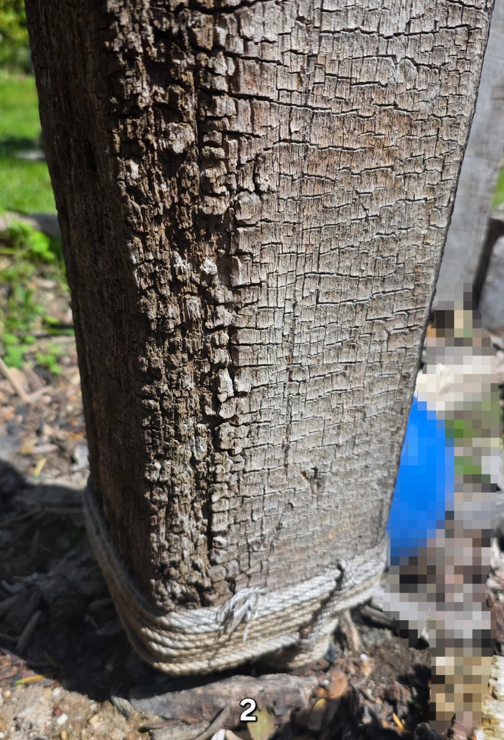 GedankenGuss - Holzskulpturen und abstrakten Kunstwerken - Holzskulptur