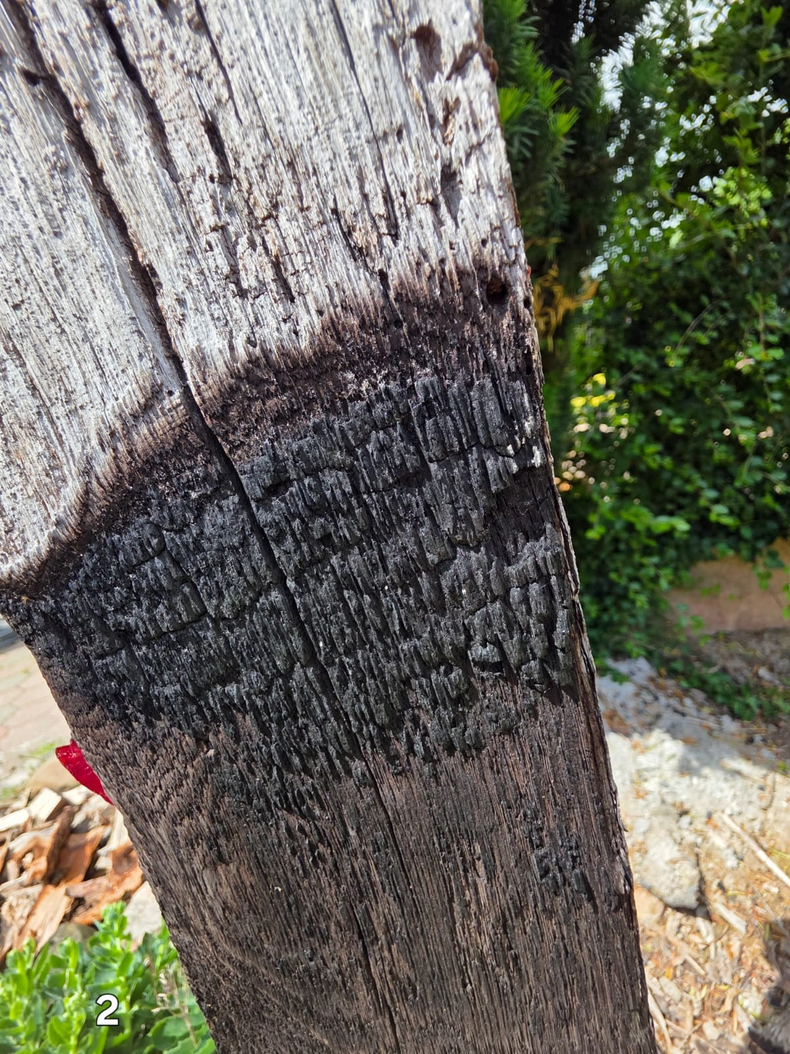 GedankenGuss - Holzskulpturen und abstrakten Kunstwerken - Holzskulptur