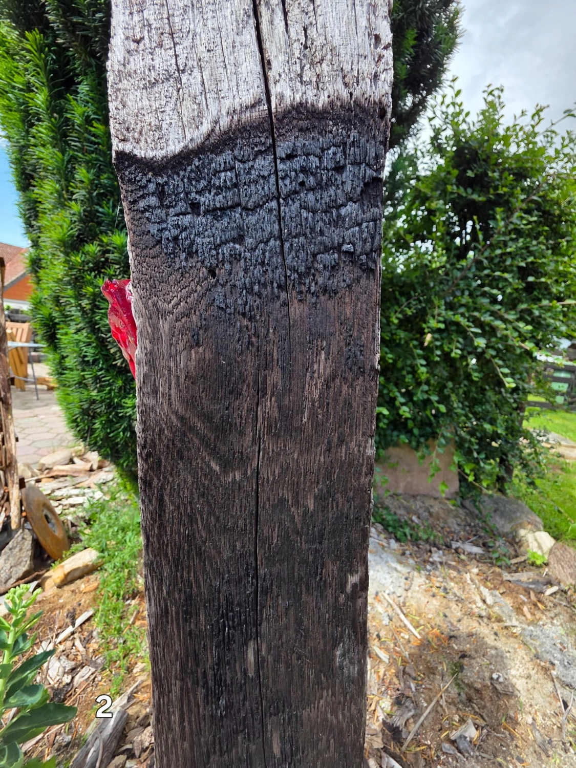 GedankenGuss - Holzskulpturen und abstrakten Kunstwerken - Holzskulptur