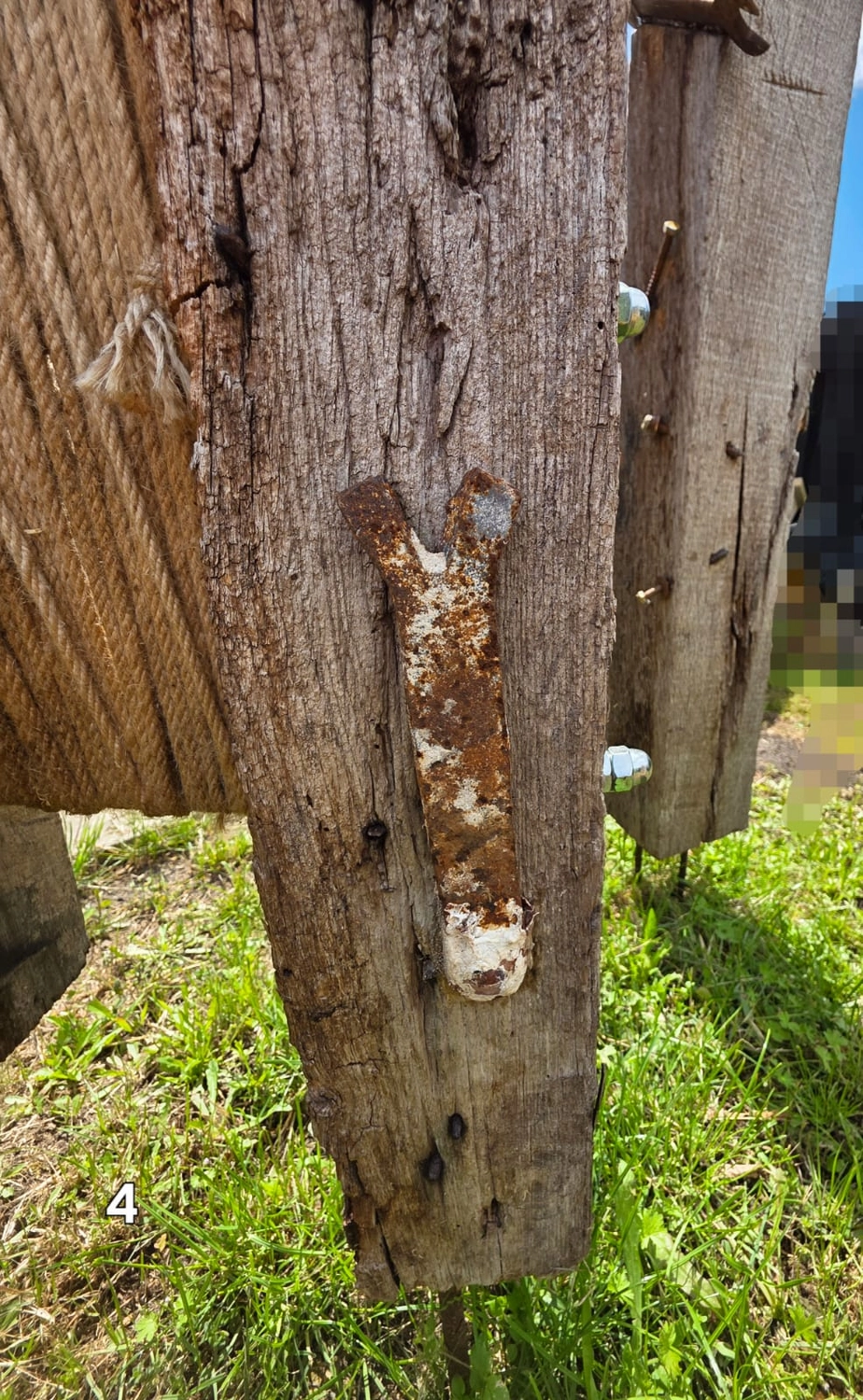 GedankenGuss - Holzskulpturen und abstrakten Kunstwerken - Holzskulptur