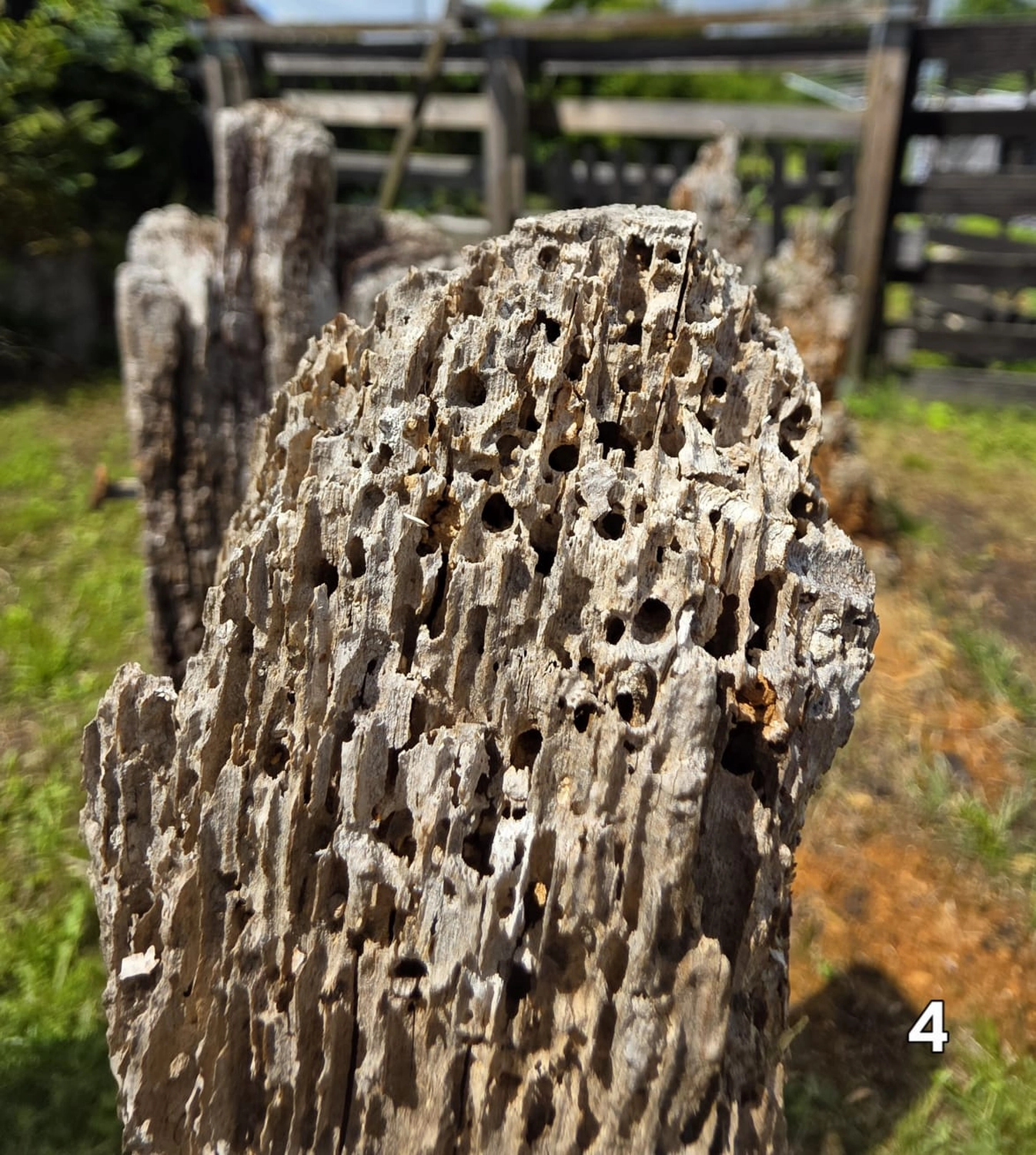 GedankenGuss - Holzskulpturen und abstrakten Kunstwerken - Holzskulptur
