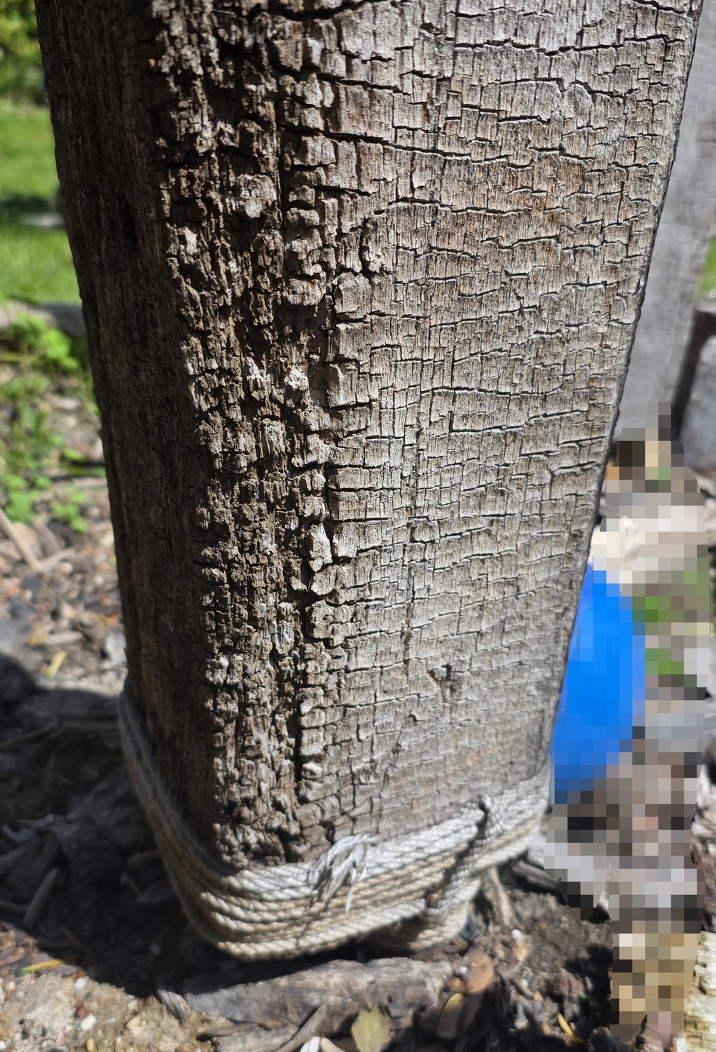 GedankenGuss - Holzskulpturen und abstrakten Kunstwerken - Holzskulptur