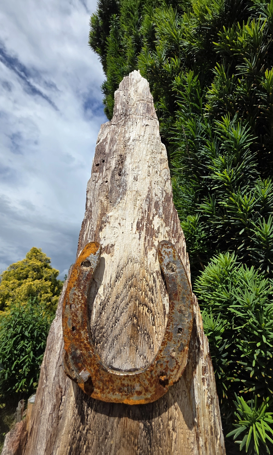 GedankenGuss - Holzskulpturen und abstrakten Kunstwerken - Holzskulptur