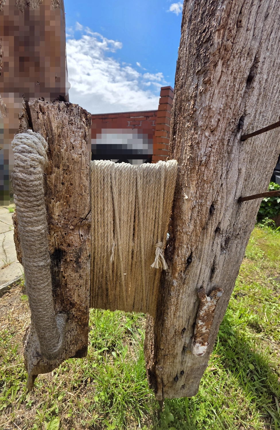GedankenGuss - Holzskulpturen und abstrakten Kunstwerken - Holzskulptur