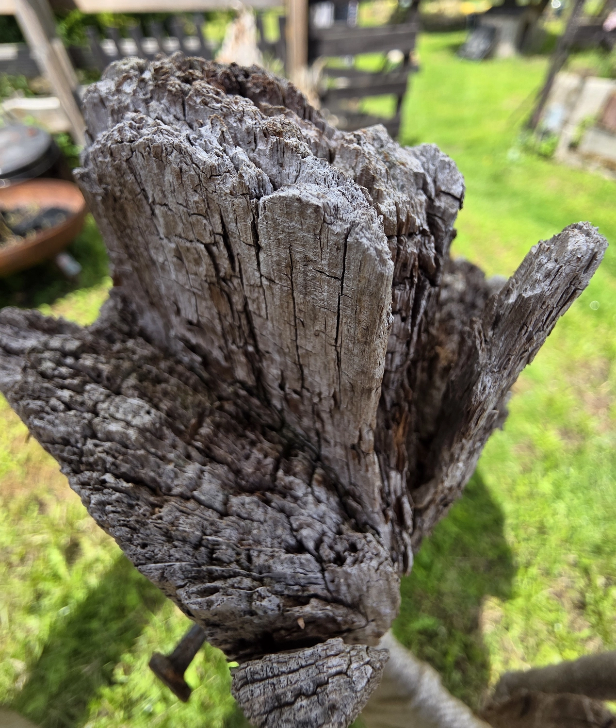 GedankenGuss - Holzskulpturen und abstrakten Kunstwerken - Holzskulptur