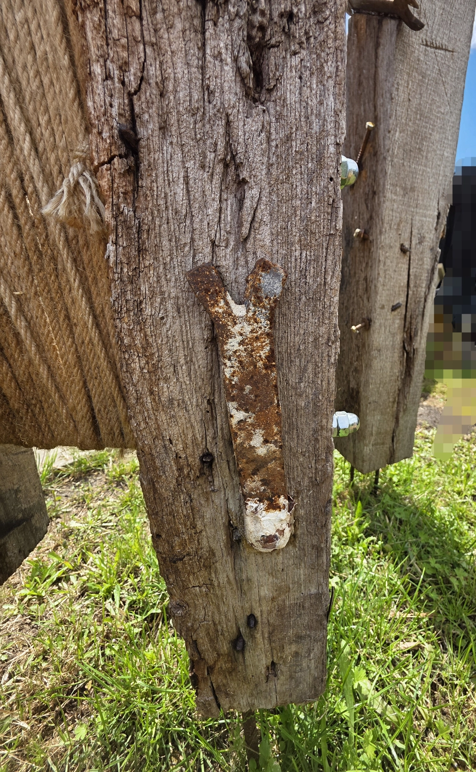 GedankenGuss - Holzskulpturen und abstrakten Kunstwerken - Holzskulptur