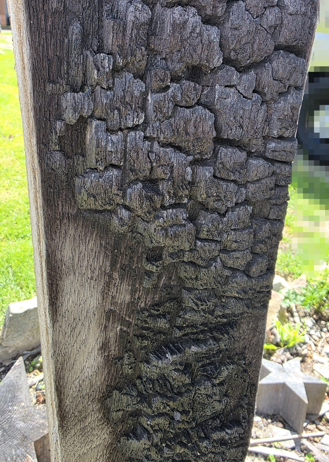 GedankenGuss - Holzskulpturen und abstrakten Kunstwerken - Holzskulptur