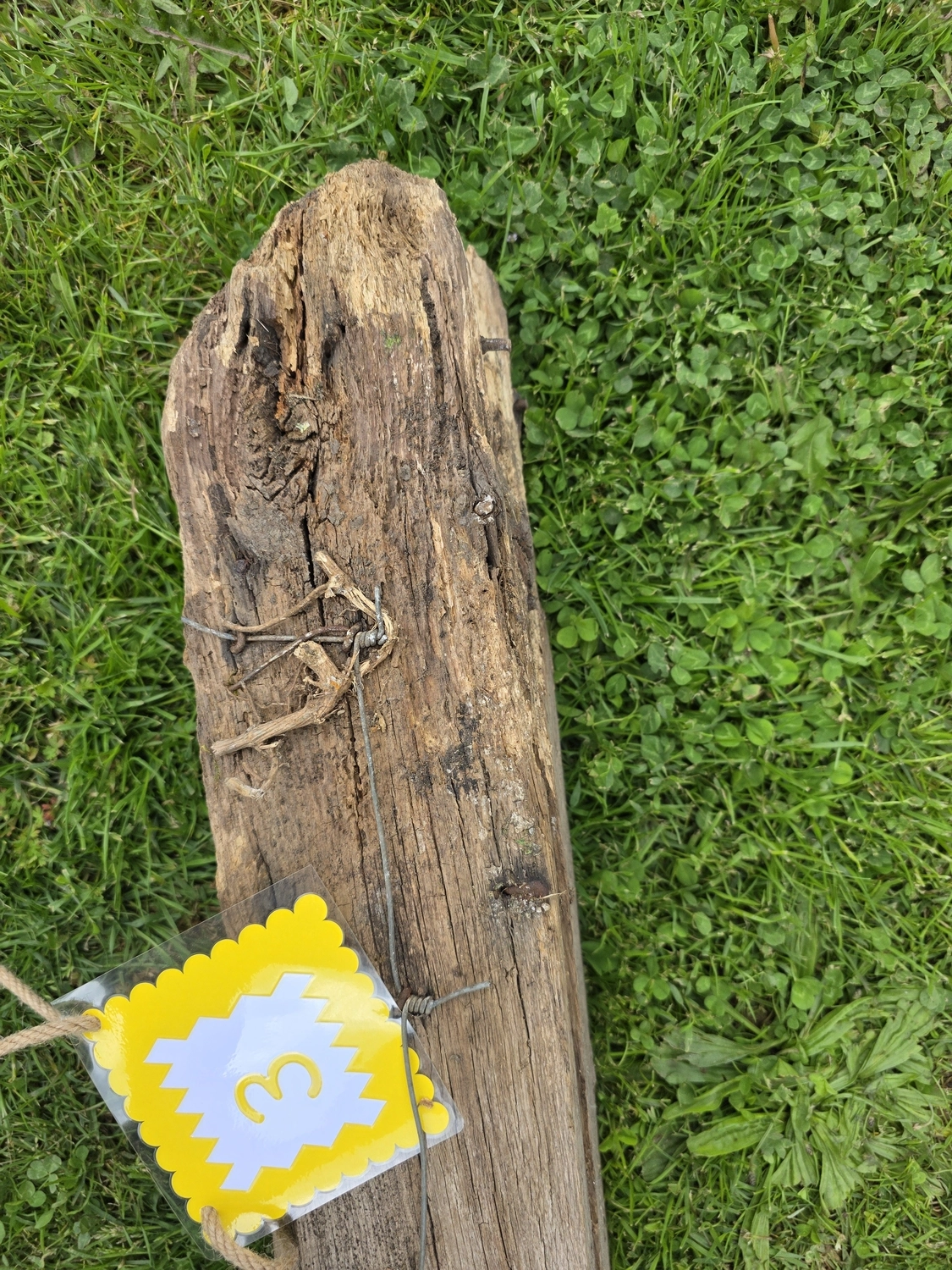 GedankenGuss - Holzskulpturen und abstrakten Kunstwerken - Eine kleine, gelb-weiße Zierfahne mit der Nummer hängt an einem dicken Seil über einem verwitterten Holzbrett, das auf einem Stück grünem Gras liegt.