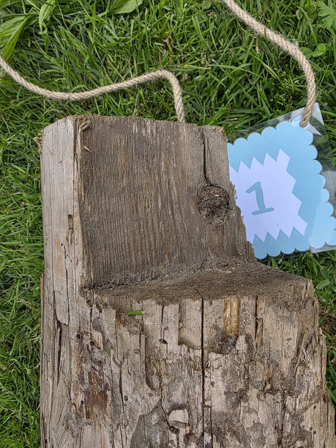 GedankenGuss - Holzskulpturen und abstrakten Kunstwerken -Eine kleine Blau und weiße Zierfahne mit einer Zahl hängt an einem dicken Seil über einem verwitterten Holzbrett, das auf einem Stück grünem Gras liegt.